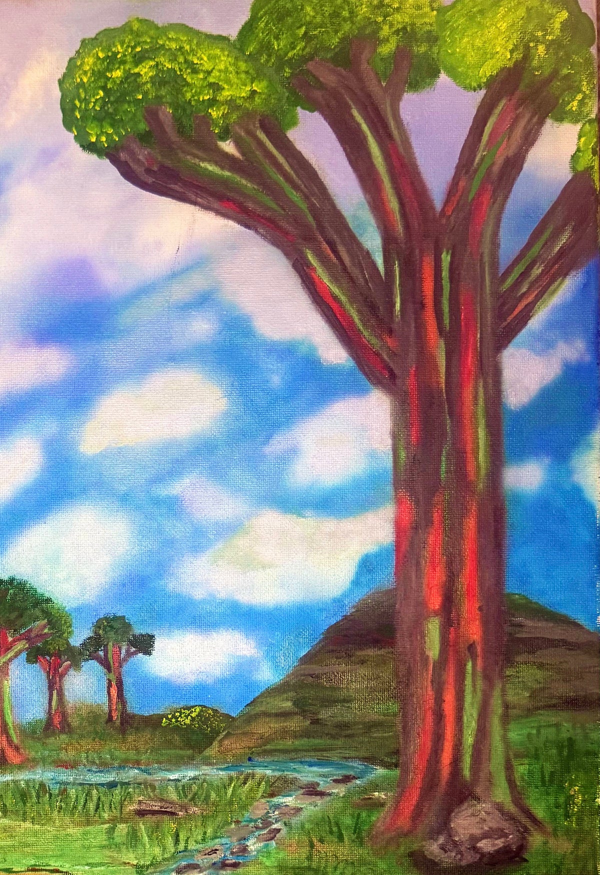 RAINBOW EUCALYPTUS TREES PRINT